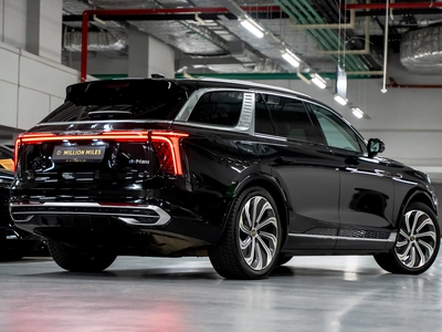 Hongqi E-HS9, I - 8