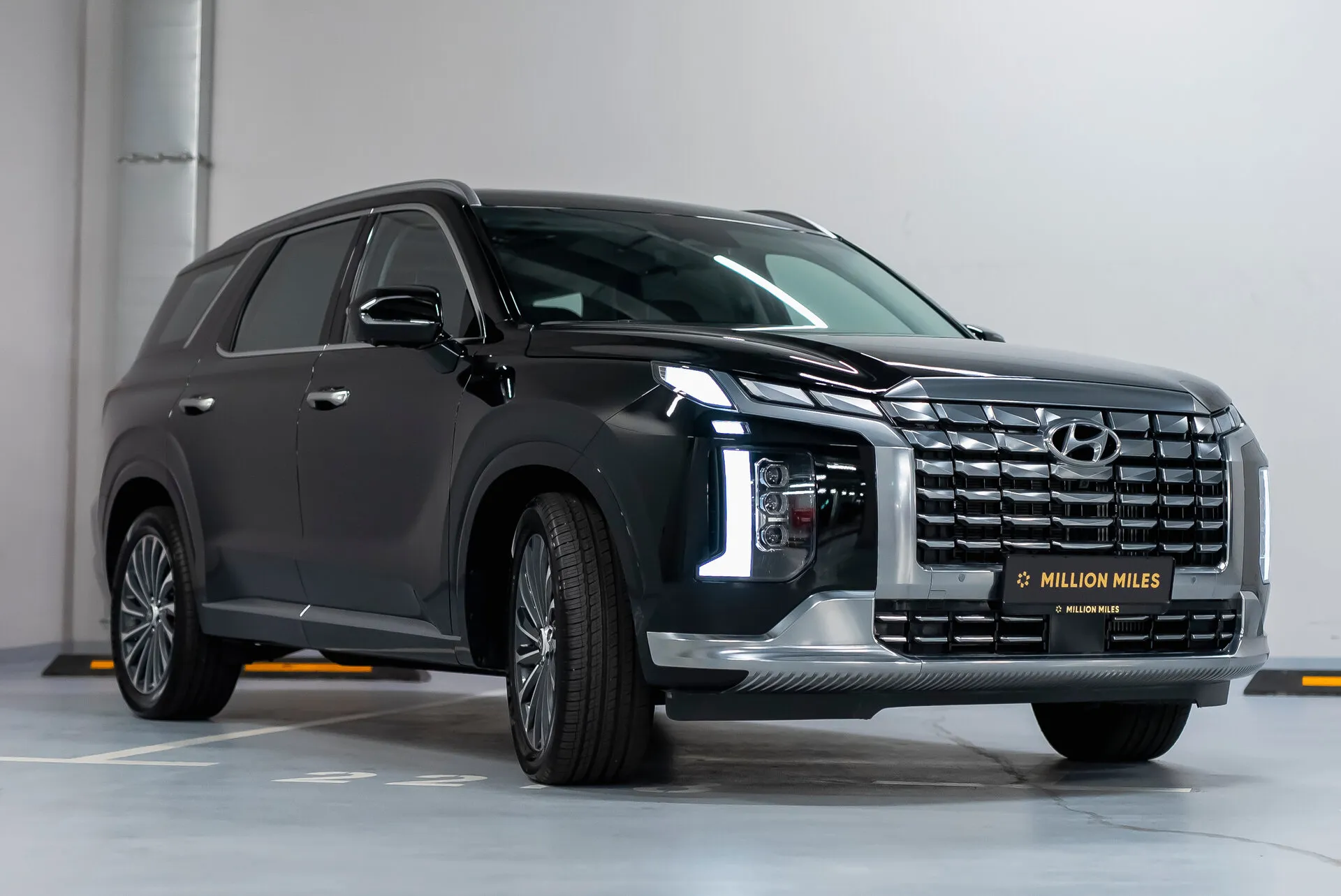 Hyundai Palisade, I Рестайлинг — 7