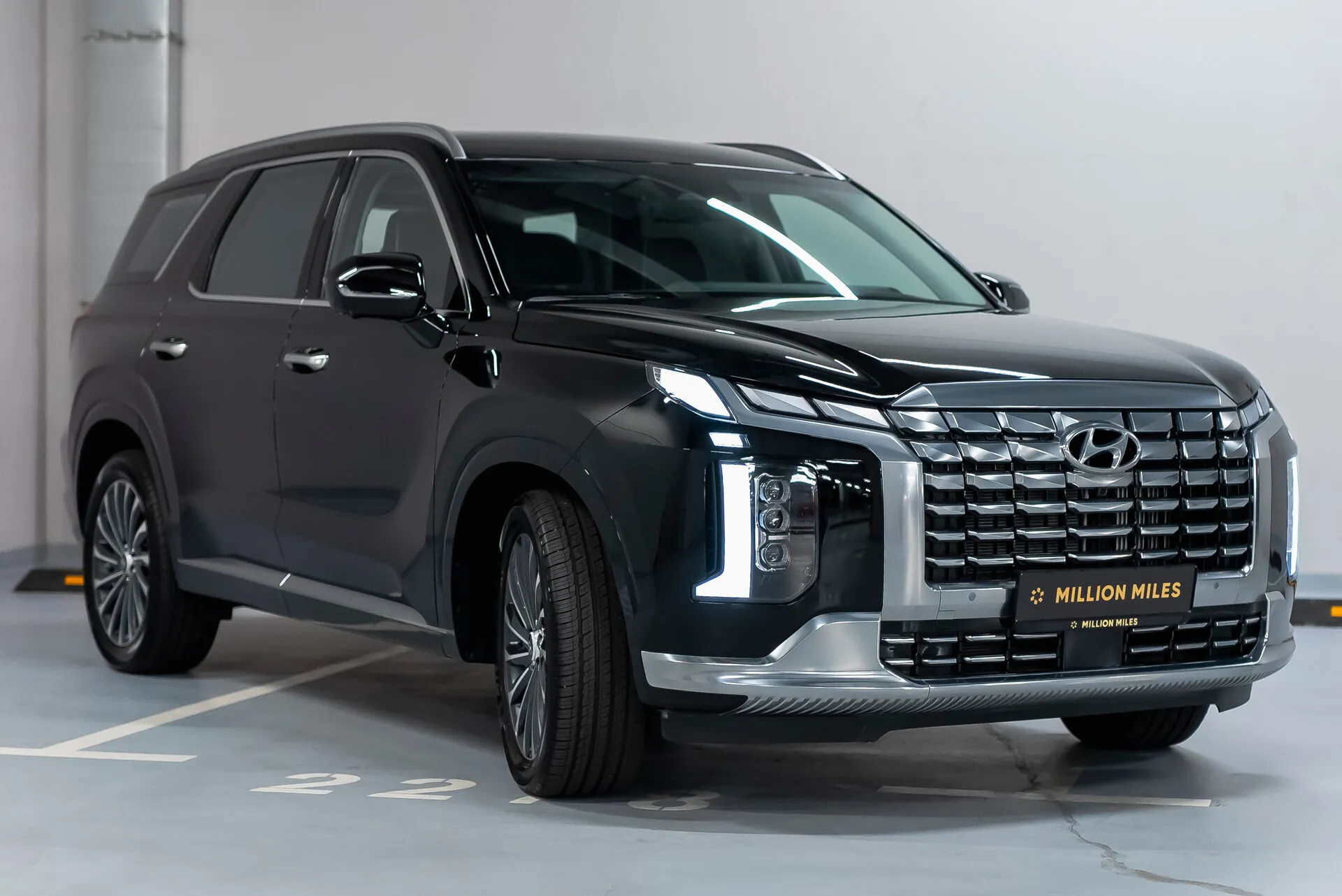 Hyundai Palisade, I Рестайлинг — 6