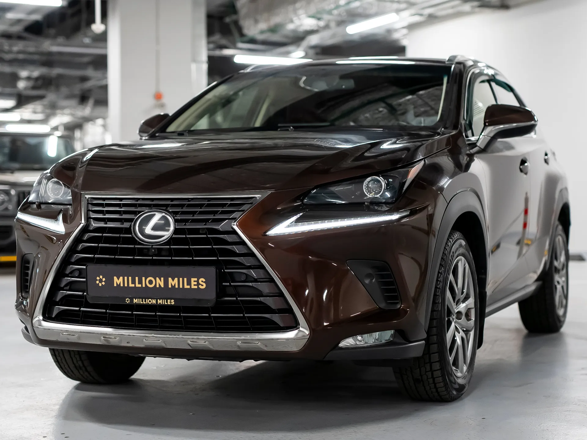 Lexus NX - Просмотр 1