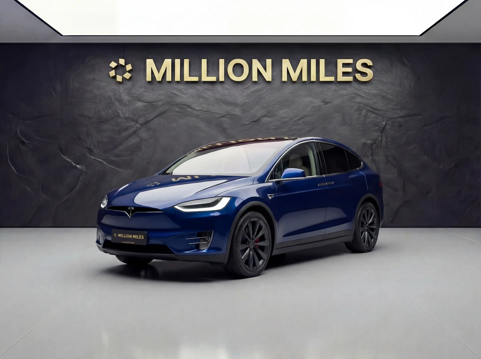 Tesla Model X - Просмотр 1
