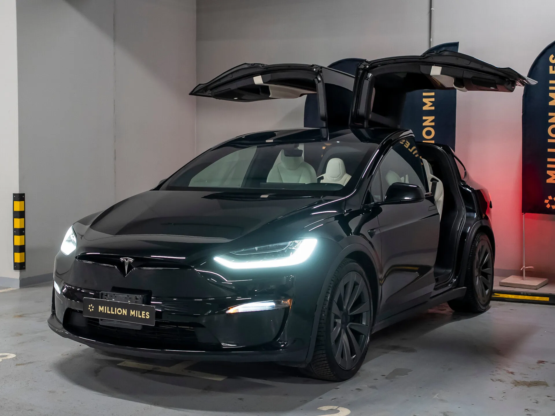Tesla Model X - Просмотр 1