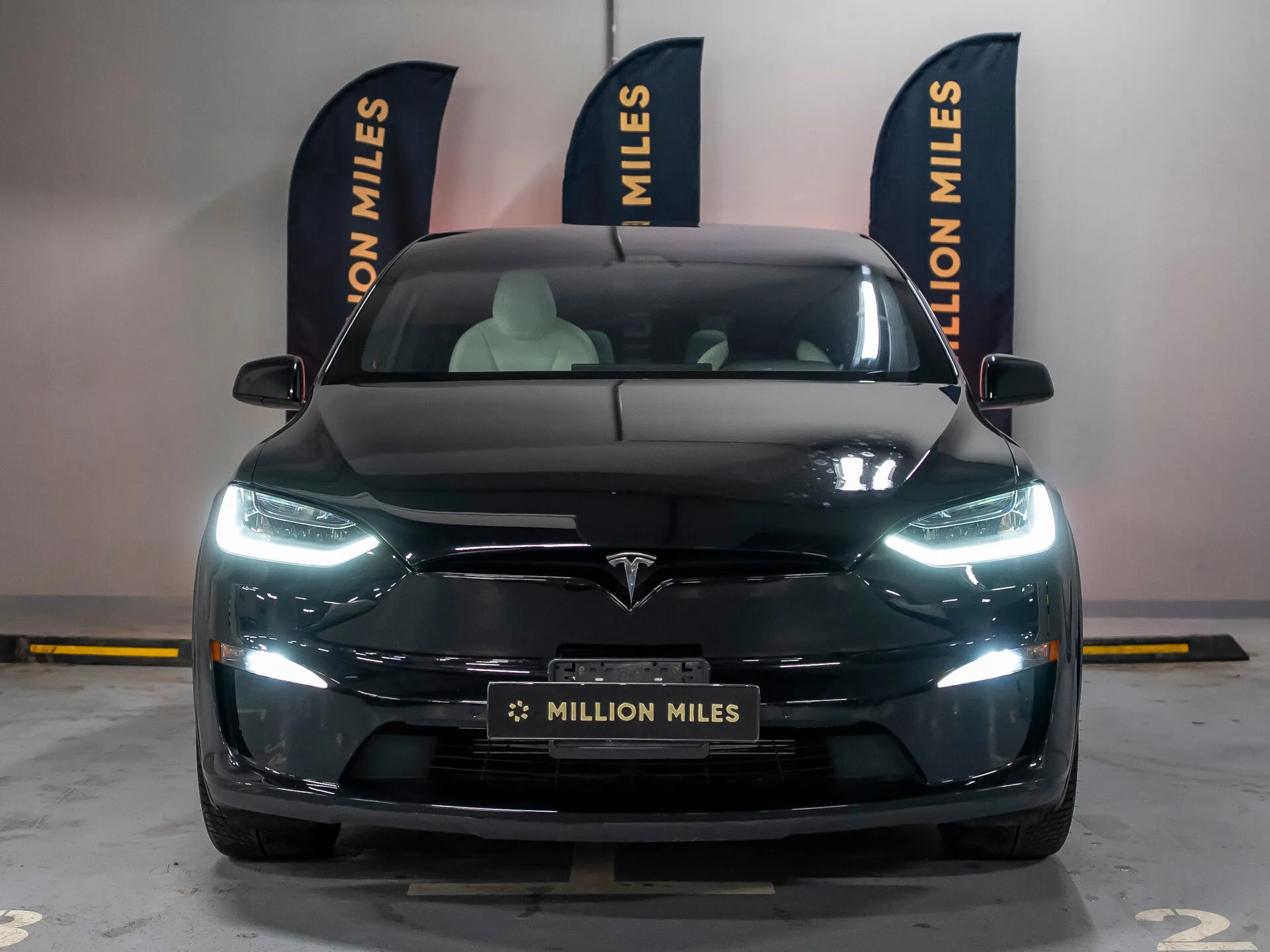 Tesla Model X — 6
