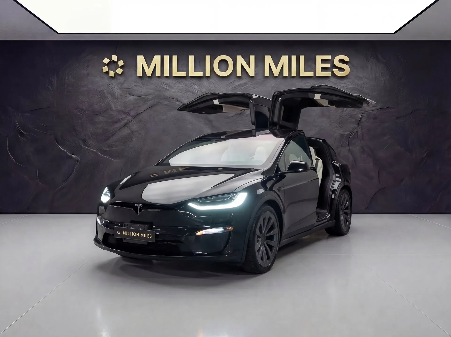 Tesla Model X - Просмотр 1