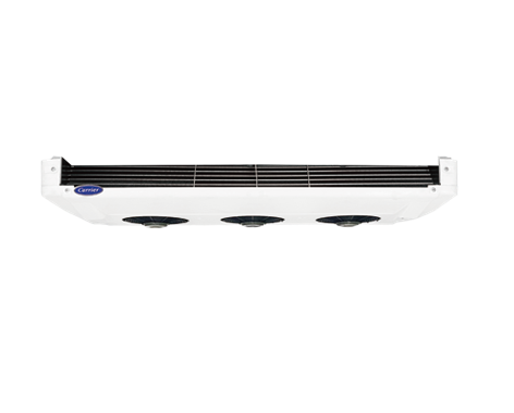 Citimax 1100