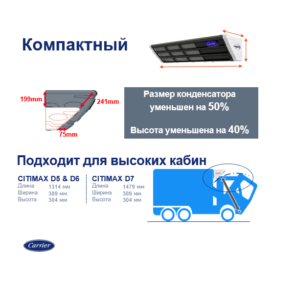 Citimax D6