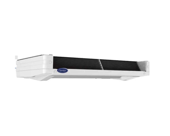 Citimax D6
