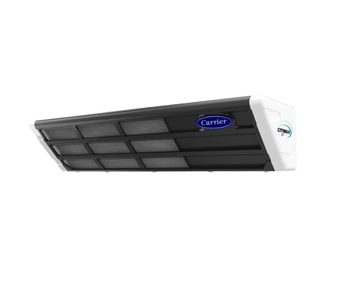 Citimax D7