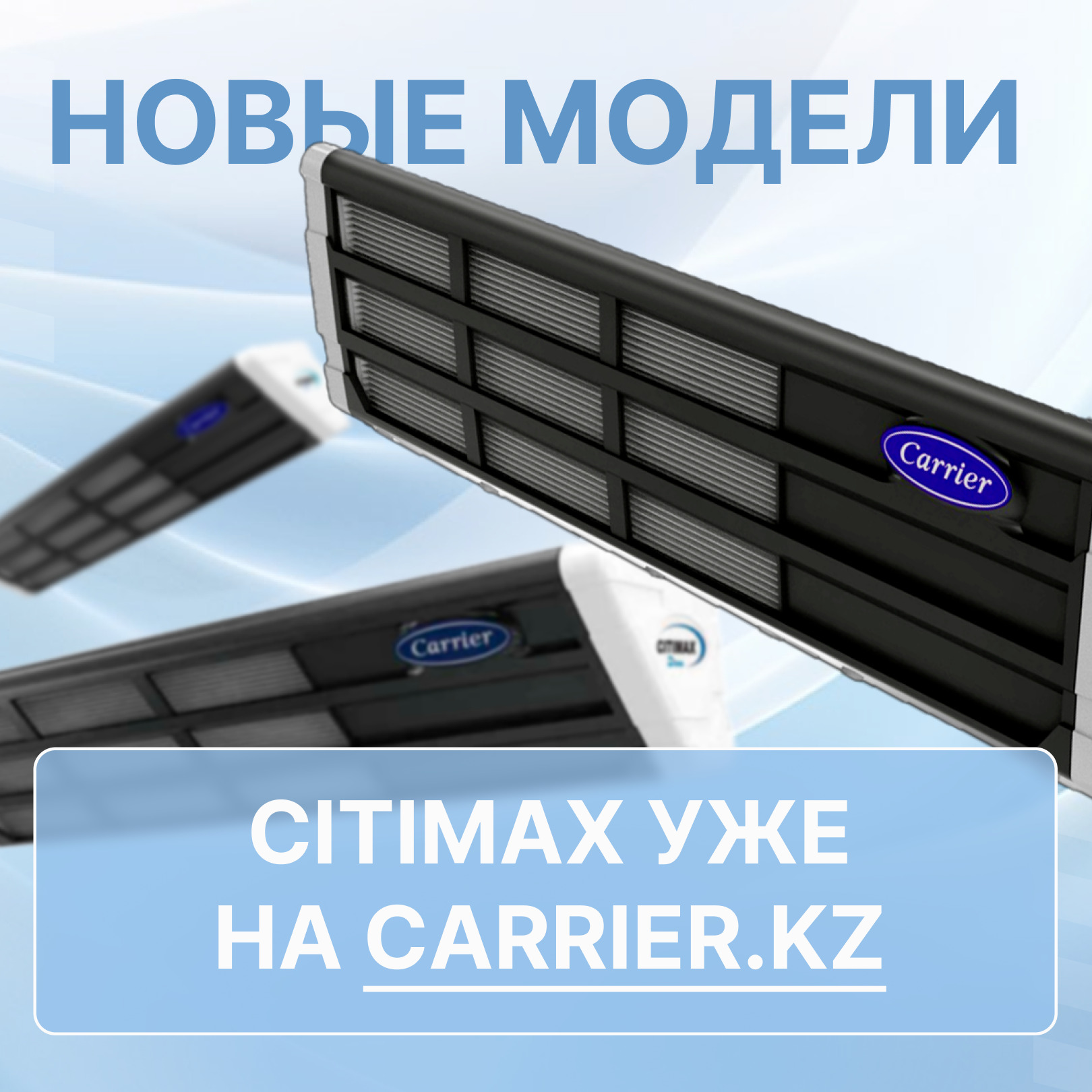 Большое поступление CITIMAX