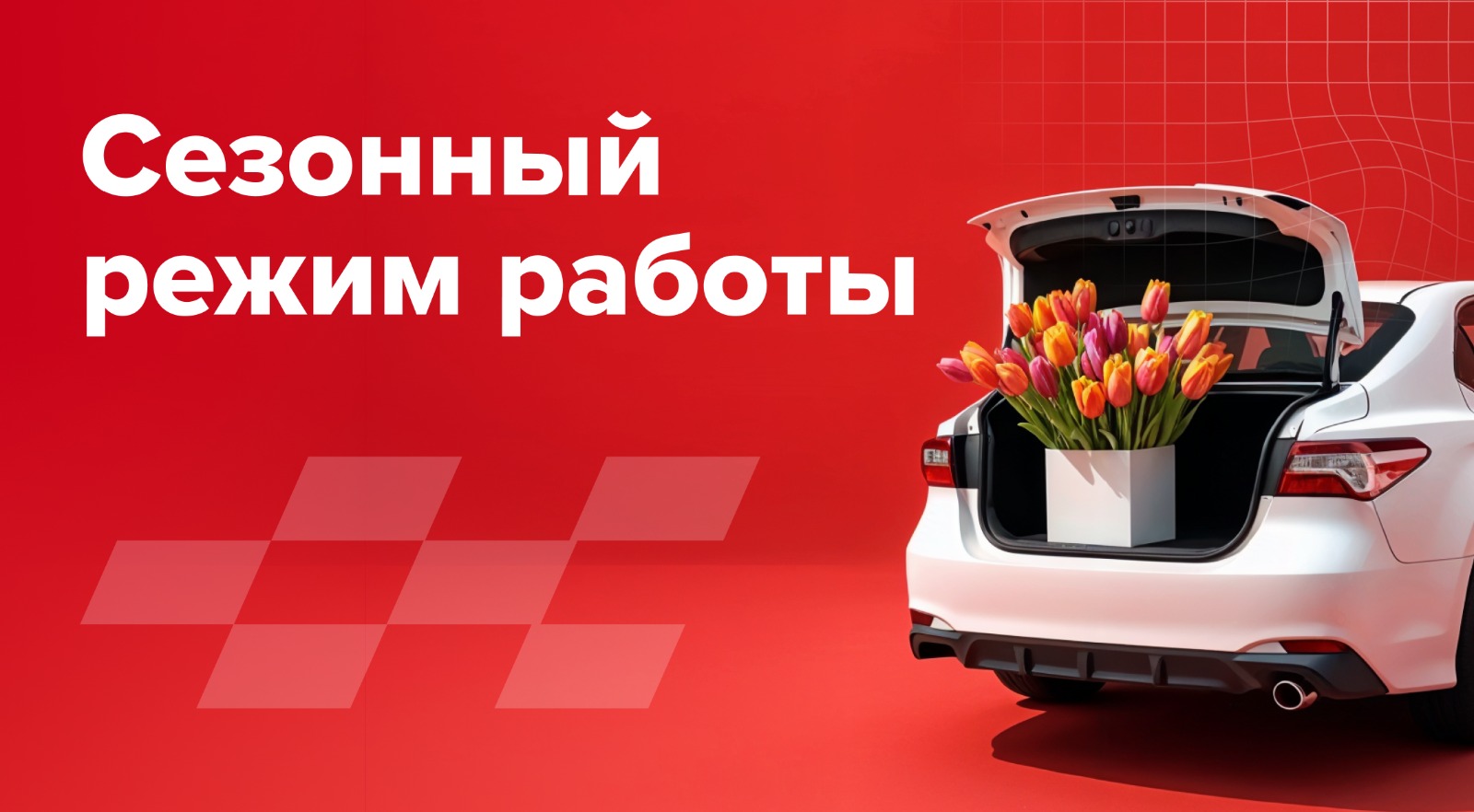 Промо картинка