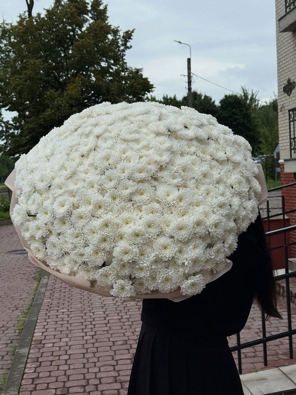 Хризантемы — купить в Махачкале