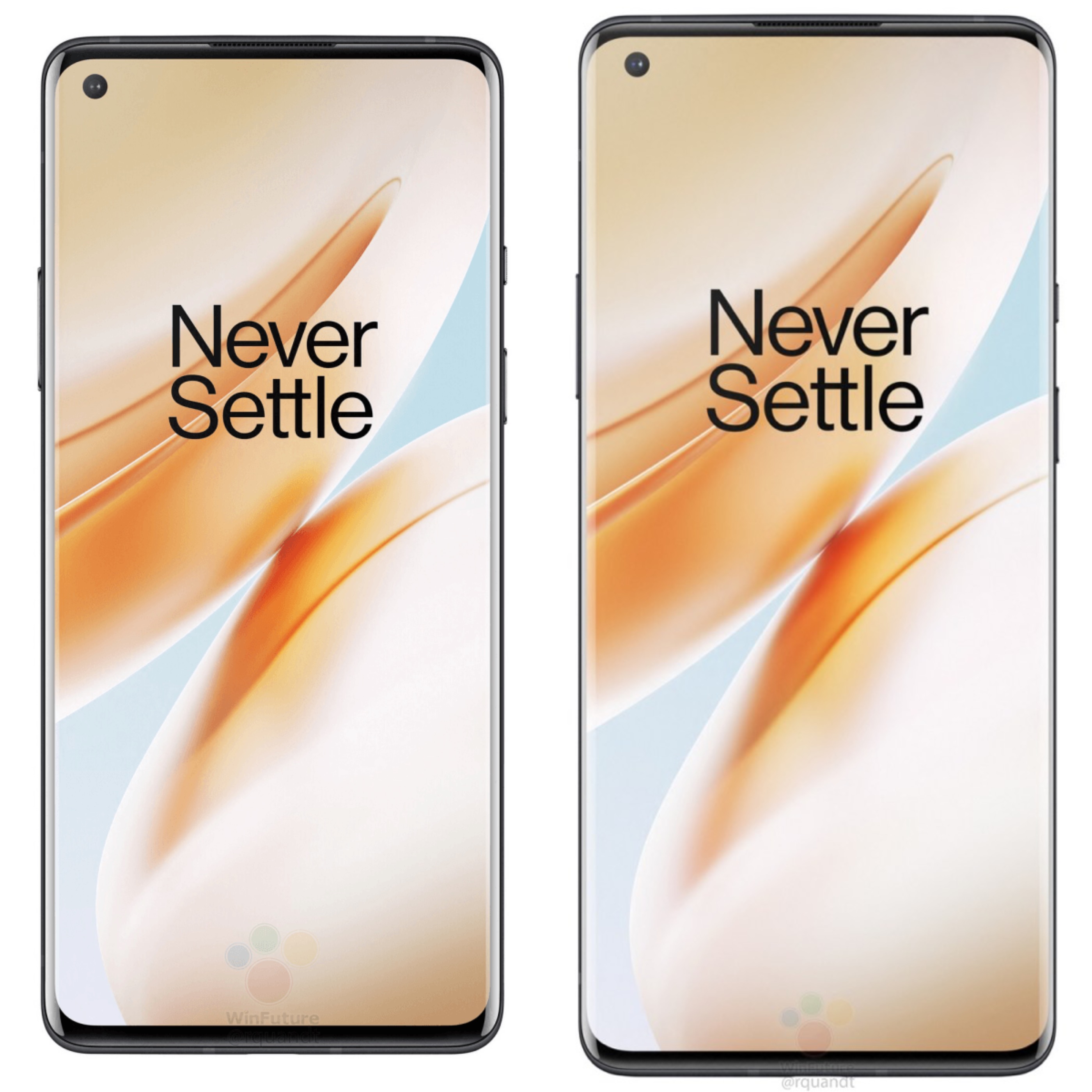 Новые детали по соотношению OnePlus 8 и OnePlus 8 Pro