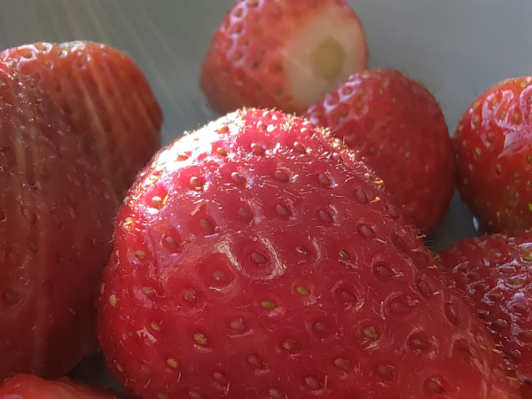  Red Magic 5S  ZTE:  Fan Edition