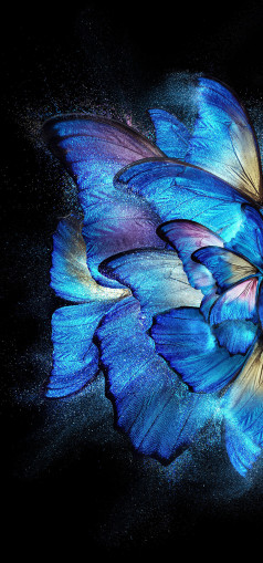   Vivo X Fold    []