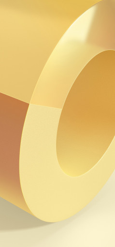   Vivo X Fold    []