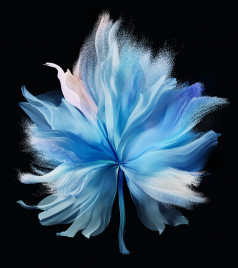   Vivo X Fold    []