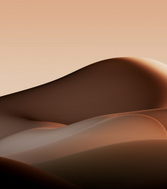   Vivo X Fold    []