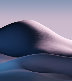   Vivo X Fold    []