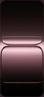  OnePlus 13T     []