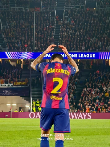 Примеры фото с 10-кратной зум-камеры OPPO Find X9 Ultra