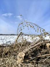 Обзор Huawei nova 15 Pro: яркий вариант