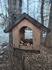 nothing phone 4a pro camera samples