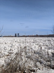 nothing phone 4a pro camera samples