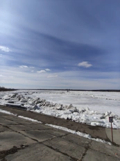 nothing phone 4a pro camera samples