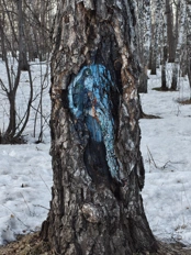 nothing phone 4a pro camera samples