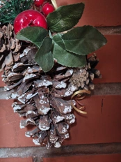 nothing phone 4a pro camera samples