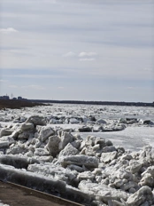 nothing phone 4a pro camera samples