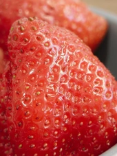 nothing phone 4a pro camera samples