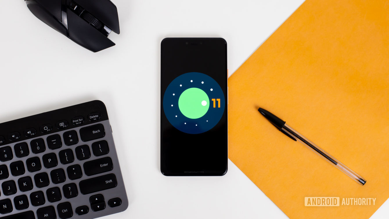 На финишной прямой: релиз Android 11 Beta 3 с пасхалкой и котиком