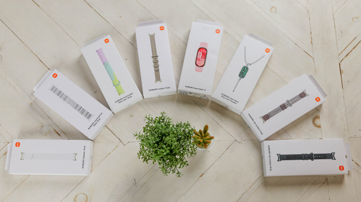  Xiaomi Band 10:  