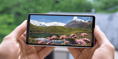 Анонс Sony Xperia 10 VIII: компактный середняк с минимумом апгрейдов