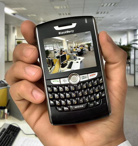 «Билайн» продает BlackBerry 8800