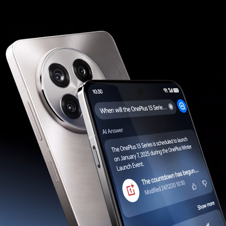      OnePlus 13