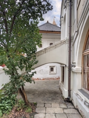 Обзор Meizu 22: главный сюрприз года