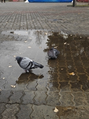 Обзор Realme 15 Pro: теперь на Snapdragon 7 Gen 4