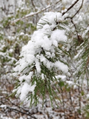 Обзор Realme 15 Pro: теперь на Snapdragon 7 Gen 4