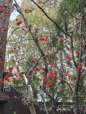 Обзор Realme 15 Pro: теперь на Snapdragon 7 Gen 4