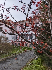 Обзор iQOO 15: смартфон — это лава!