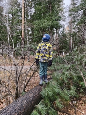 Обзор iQOO 15: смартфон — это лава!