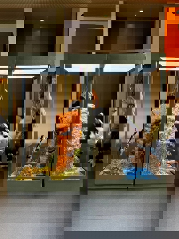 iQOO 15 в России: как это было?