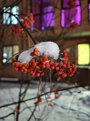 Обзор ZTE Nubia Z80 Ultra: шедевр смартфоностроения