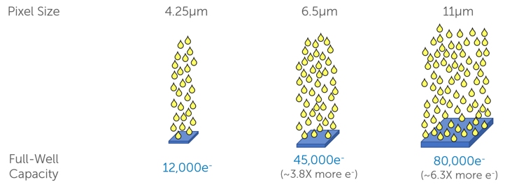 LOFIC в камерах: что это и зачем нужно в смартфонах