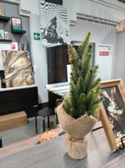 Обзор Honor X6c: попасть в десятку