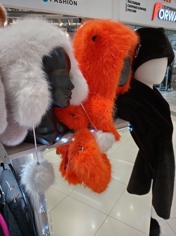 Обзор Honor X6c: попасть в десятку