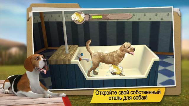 Dog Hotel -    