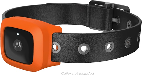 Motorola VerveLife:    